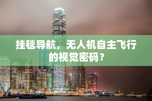 挂毯导航，无人机自主飞行的视觉密码？