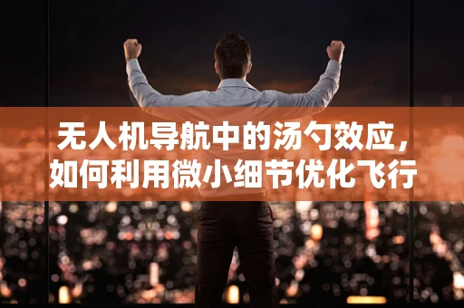 无人机导航中的汤勺效应，如何利用微小细节优化飞行路径？