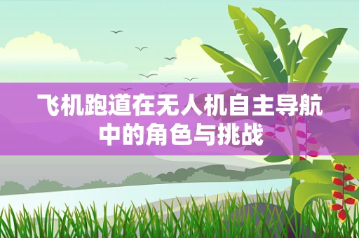 飞机跑道在无人机自主导航中的角色与挑战