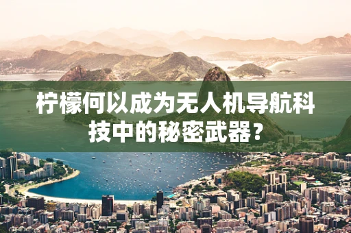 柠檬何以成为无人机导航科技中的秘密武器？