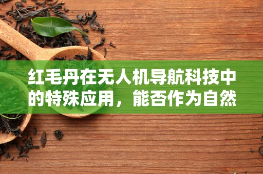 红毛丹在无人机导航科技中的特殊应用，能否作为自然地标？