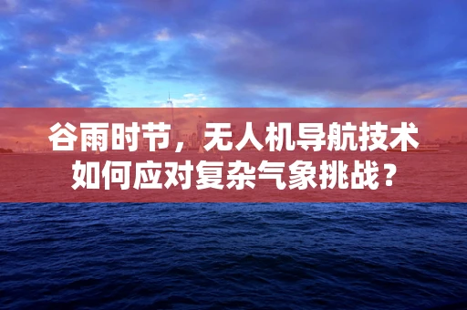 谷雨时节，无人机导航技术如何应对复杂气象挑战？