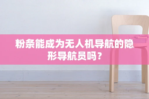 粉条能成为无人机导航的隐形导航员吗？