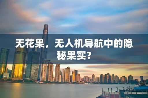 无花果，无人机导航中的隐秘果实？