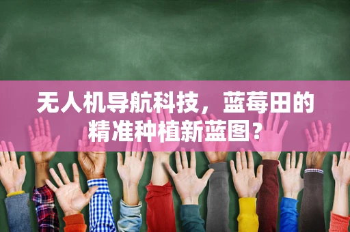 无人机导航科技，蓝莓田的精准种植新蓝图？