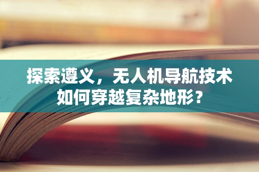 探索遵义，无人机导航技术如何穿越复杂地形？