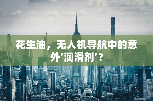 花生油，无人机导航中的意外‘润滑剂’？