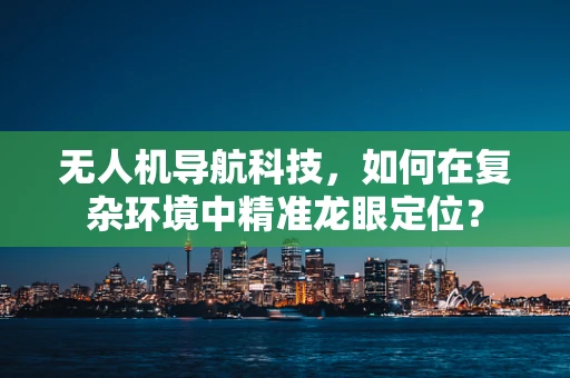 无人机导航科技，如何在复杂环境中精准龙眼定位？