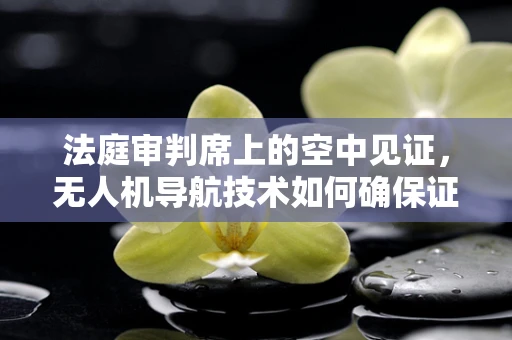 法庭审判席上的空中见证，无人机导航技术如何确保证据的准确与公正？