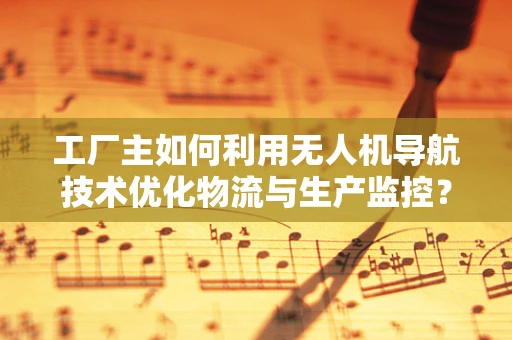 工厂主如何利用无人机导航技术优化物流与生产监控？
