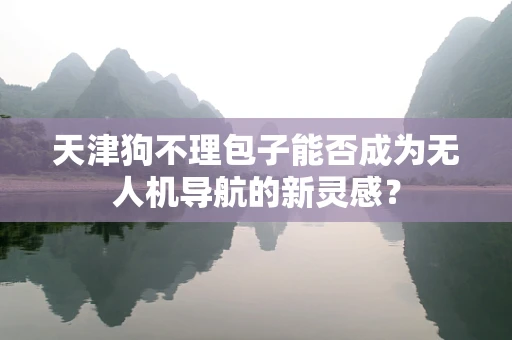 天津狗不理包子能否成为无人机导航的新灵感？