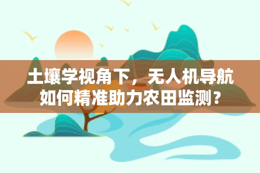 土壤学视角下，无人机导航如何精准助力农田监测？