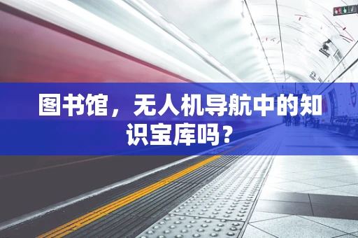 图书馆，无人机导航中的知识宝库吗？