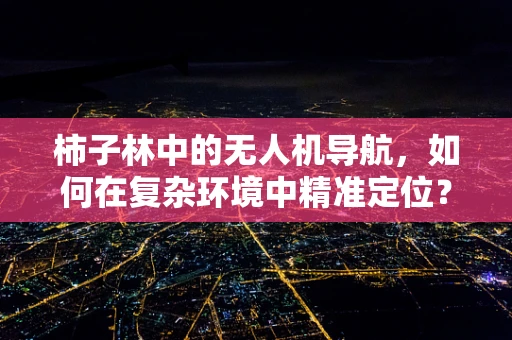 柿子林中的无人机导航，如何在复杂环境中精准定位？