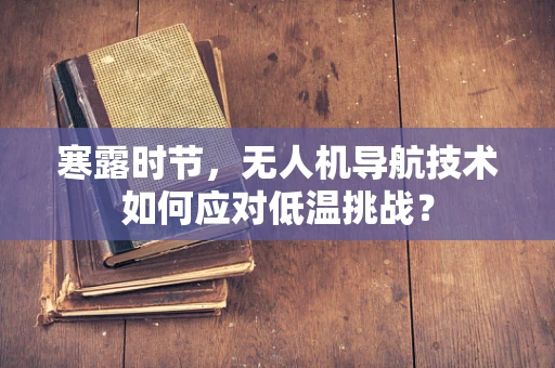寒露时节，无人机导航技术如何应对低温挑战？