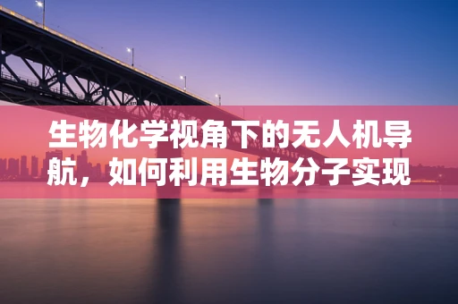 生物化学视角下的无人机导航，如何利用生物分子实现更精准的飞行？
