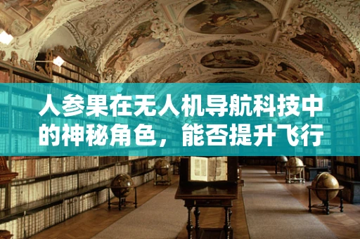 人参果在无人机导航科技中的神秘角色，能否提升飞行安全与效率？