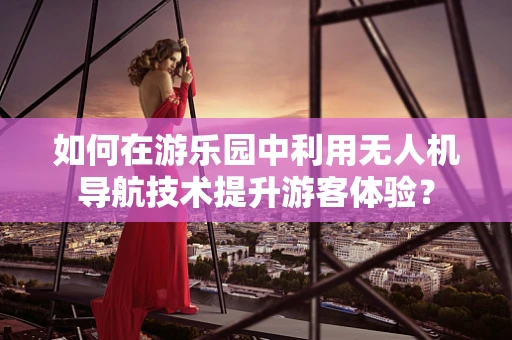 如何在游乐园中利用无人机导航技术提升游客体验？