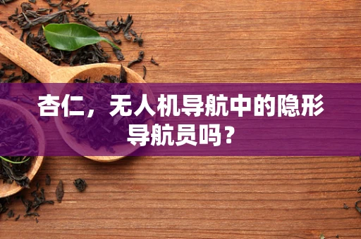 杏仁，无人机导航中的隐形导航员吗？