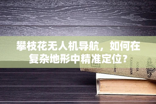 攀枝花无人机导航，如何在复杂地形中精准定位？