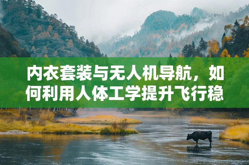 内衣套装与无人机导航，如何利用人体工学提升飞行稳定性？