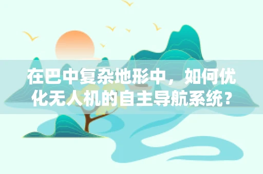在巴中复杂地形中，如何优化无人机的自主导航系统？