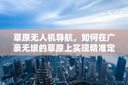 草原无人机导航，如何在广袤无垠的草原上实现精准定位？