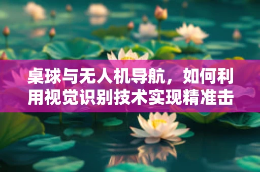 桌球与无人机导航，如何利用视觉识别技术实现精准击球？