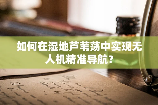 如何在湿地芦苇荡中实现无人机精准导航？