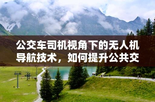 公交车司机视角下的无人机导航技术，如何提升公共交通的智能协同？