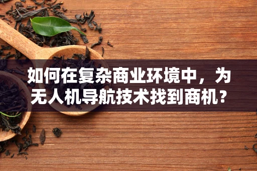 如何在复杂商业环境中，为无人机导航技术找到商机？