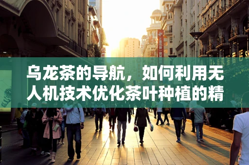 乌龙茶的导航，如何利用无人机技术优化茶叶种植的精准管理？