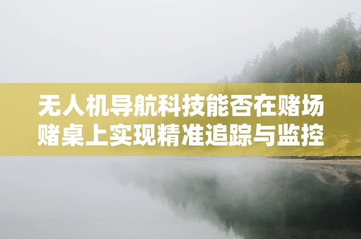 无人机导航科技能否在赌场赌桌上实现精准追踪与监控？