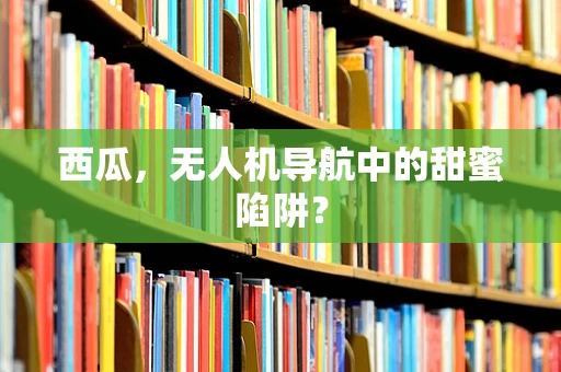 西瓜，无人机导航中的甜蜜陷阱？