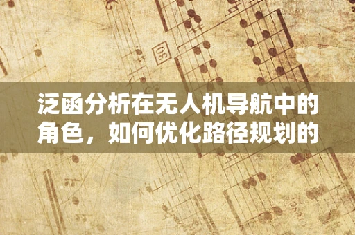 泛函分析在无人机导航中的角色，如何优化路径规划的艺术？
