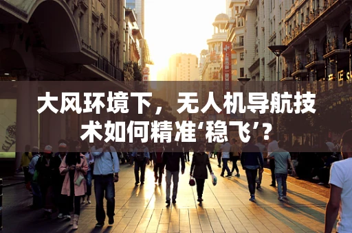 大风环境下，无人机导航技术如何精准‘稳飞’？