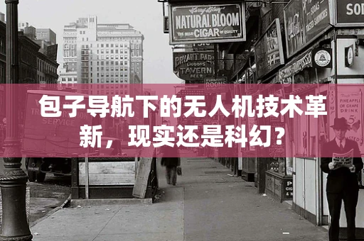 包子导航下的无人机技术革新，现实还是科幻？