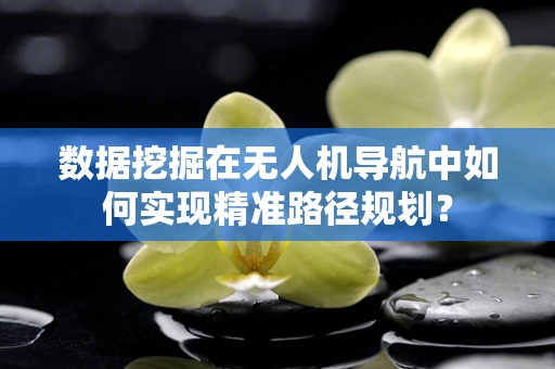 数据挖掘在无人机导航中如何实现精准路径规划？