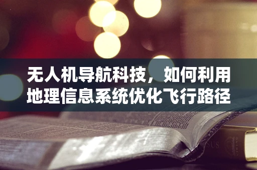 无人机导航科技，如何利用地理信息系统优化飞行路径？