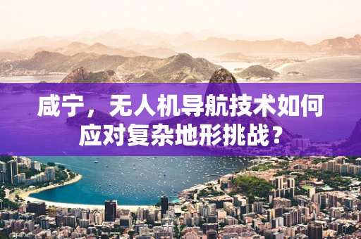 咸宁，无人机导航技术如何应对复杂地形挑战？