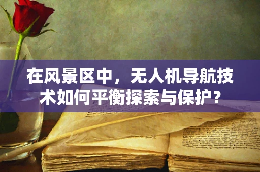 在风景区中，无人机导航技术如何平衡探索与保护？
