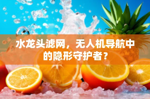 水龙头滤网，无人机导航中的隐形守护者？
