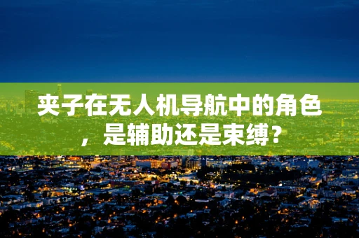 夹子在无人机导航中的角色，是辅助还是束缚？