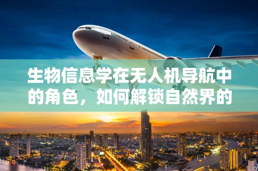 生物信息学在无人机导航中的角色，如何解锁自然界的导航智慧？