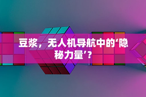 豆浆，无人机导航中的‘隐秘力量’？