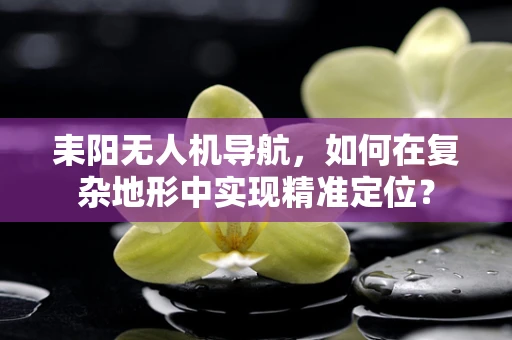 耒阳无人机导航，如何在复杂地形中实现精准定位？