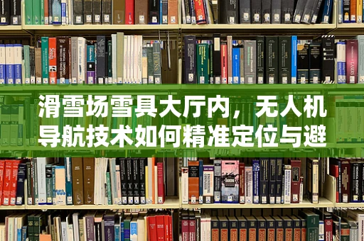 滑雪场雪具大厅内，无人机导航技术如何精准定位与避障？