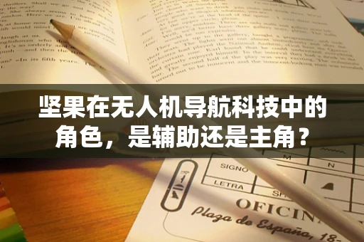 坚果在无人机导航科技中的角色，是辅助还是主角？