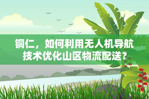铜仁，如何利用无人机导航技术优化山区物流配送？