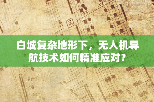 白城复杂地形下，无人机导航技术如何精准应对？